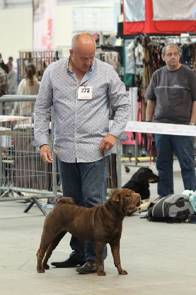 Hot sugar chocolate des Legendes Indiennes - 2 ème Excelelnt