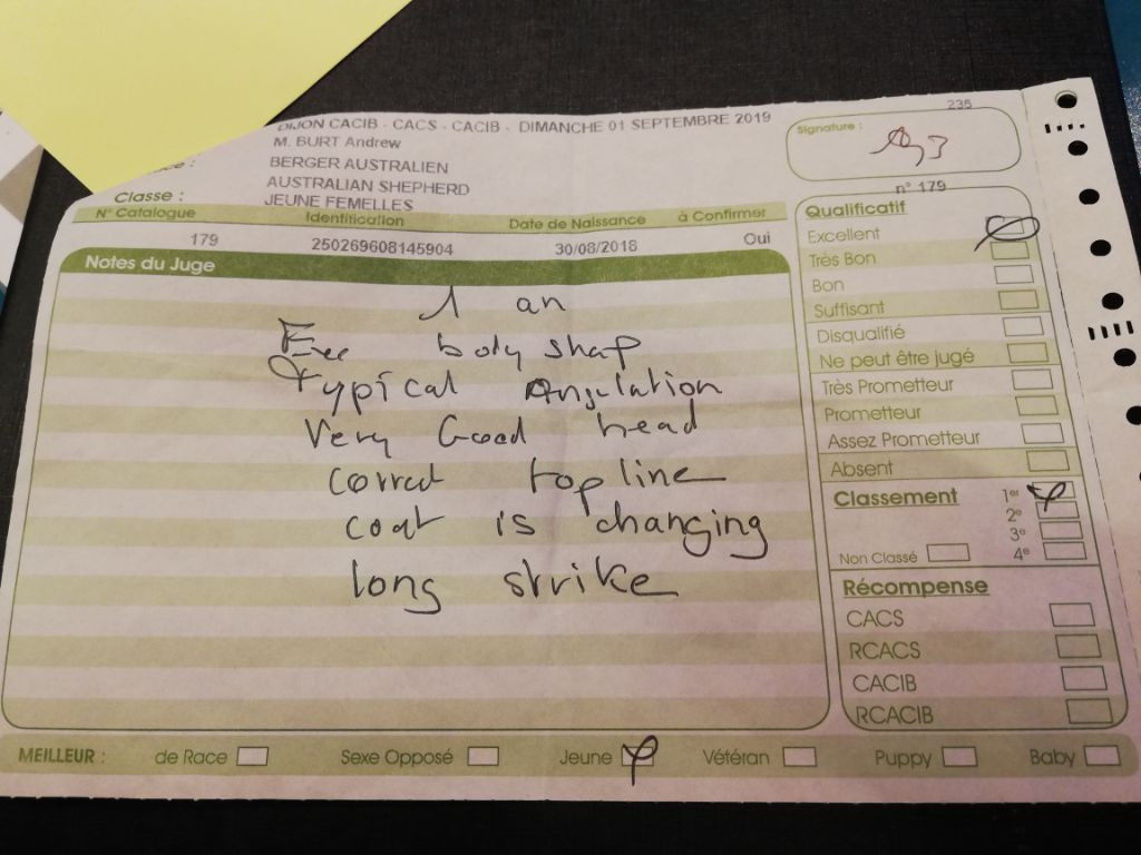 Olia Du Bonheur D'Emir - 1 excellent - meilleur jeune