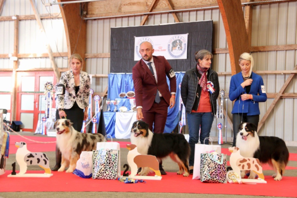 CH. Only time will tell De La Colombe Béarnaise - 2e Excellent - Champion mâle