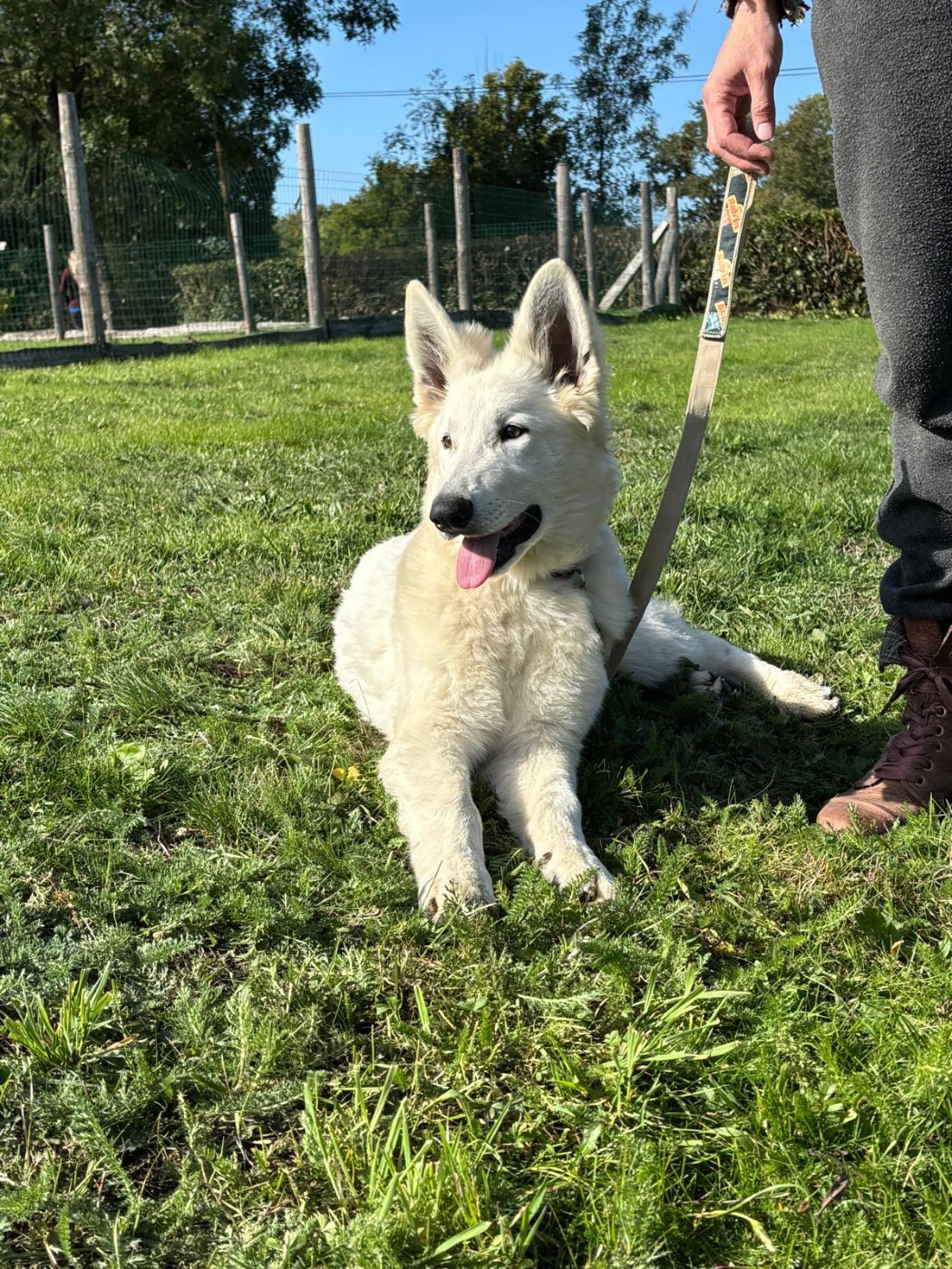 Aymeric De La Foret D'Aleph