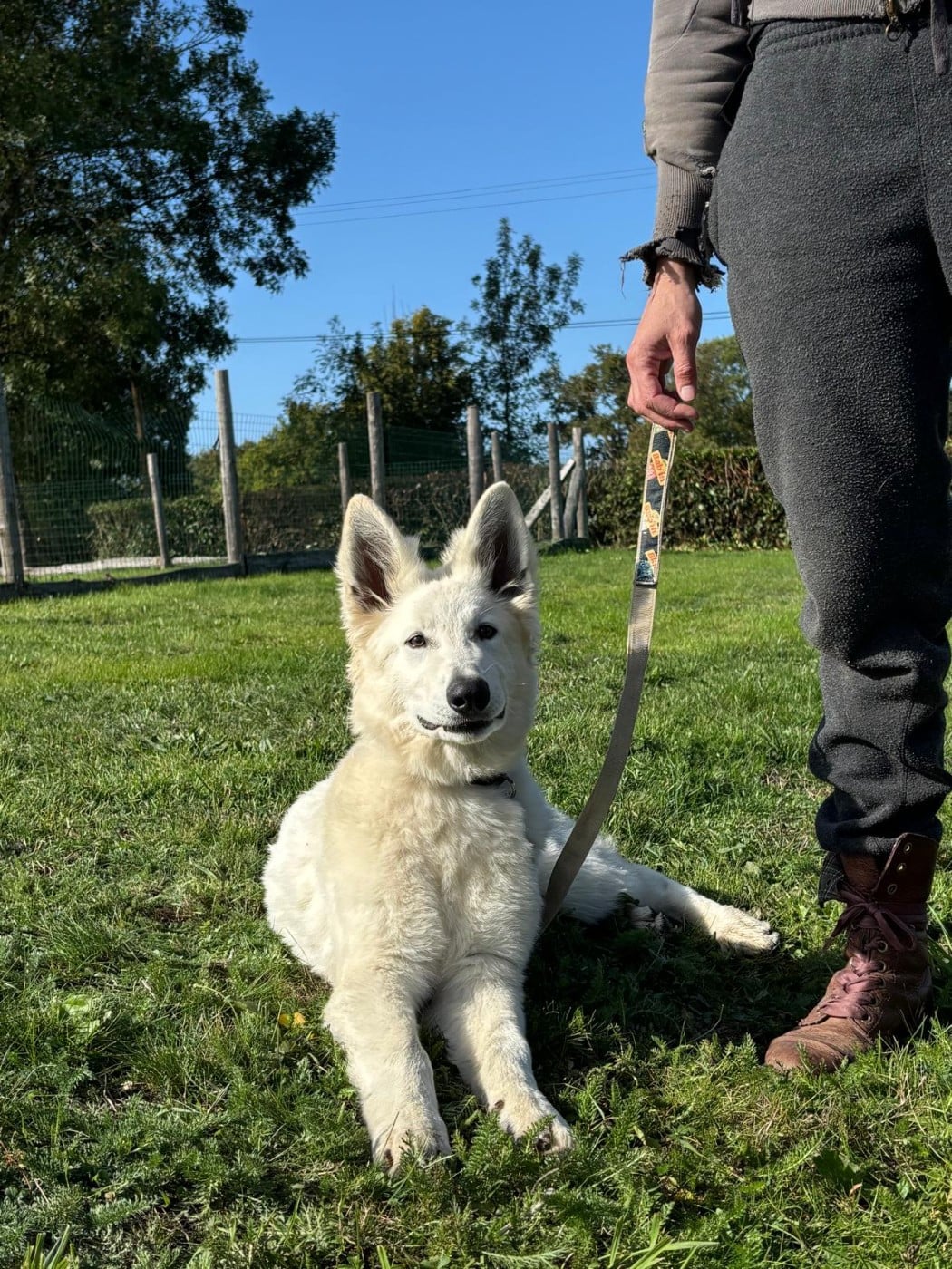 Aymeric De La Foret D'Aleph