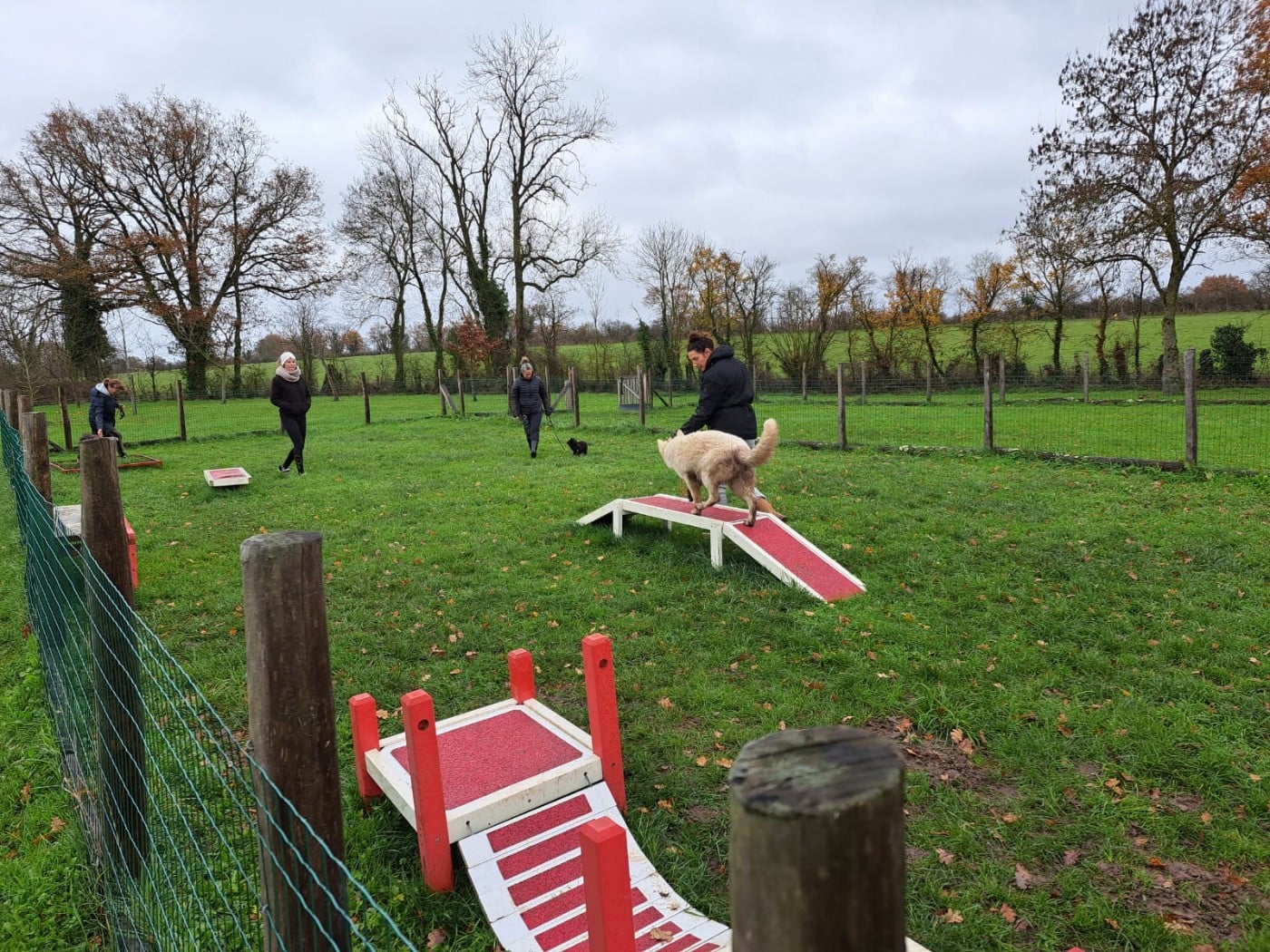 Aymeric De La Foret D'Aleph