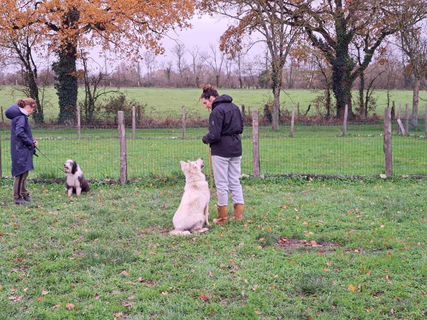 Aymeric De La Foret D'Aleph