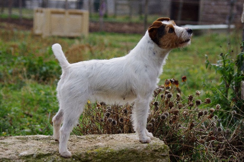 Publication : Nunca Sem Quereis