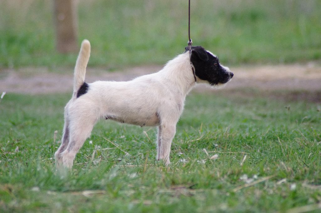 Publication : Nunca Sem Quereis