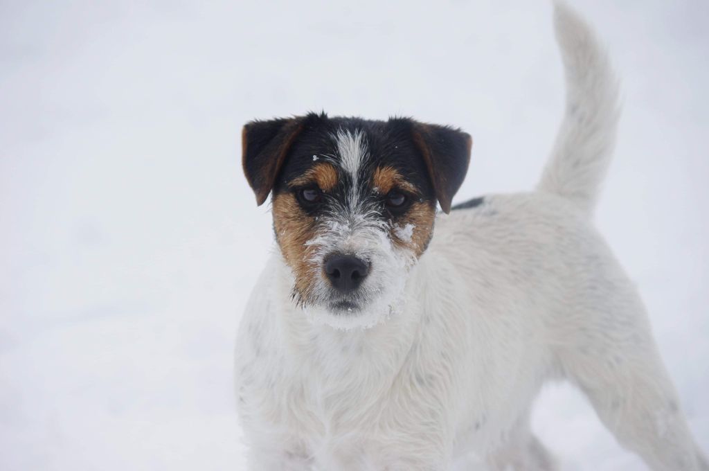 Publication : Nunca Sem Quereis