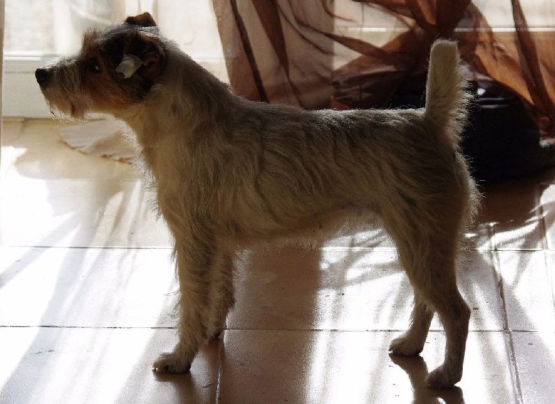 Publication : Nunca Sem Quereis