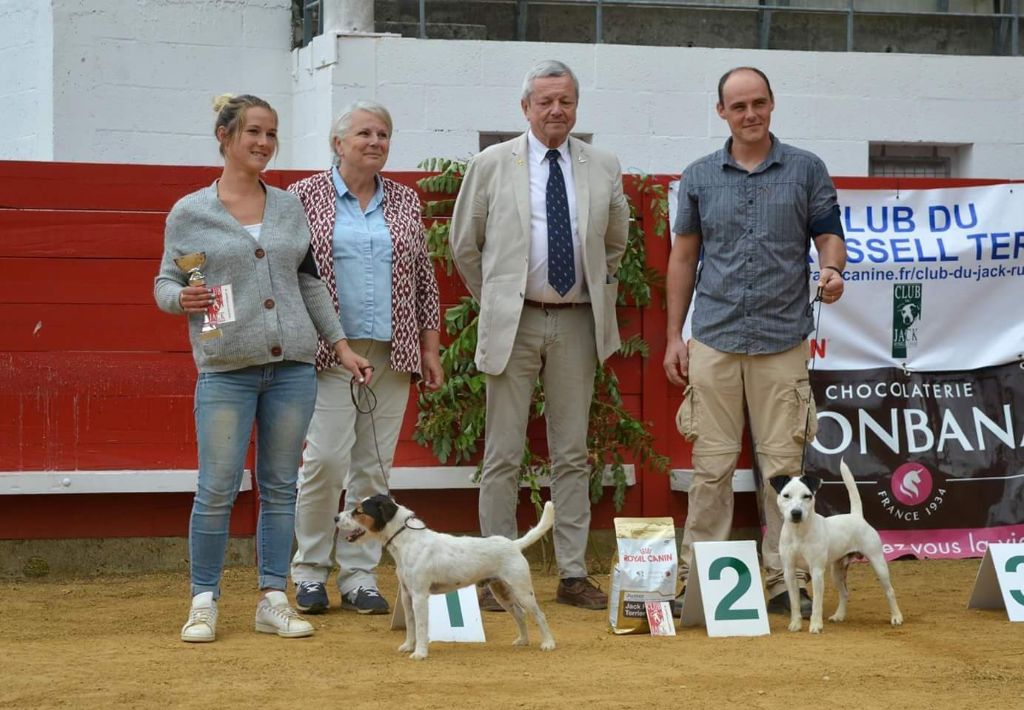 Naxos Nunca Sem Quereis - 1e Excellent - Meilleur jeune mâle