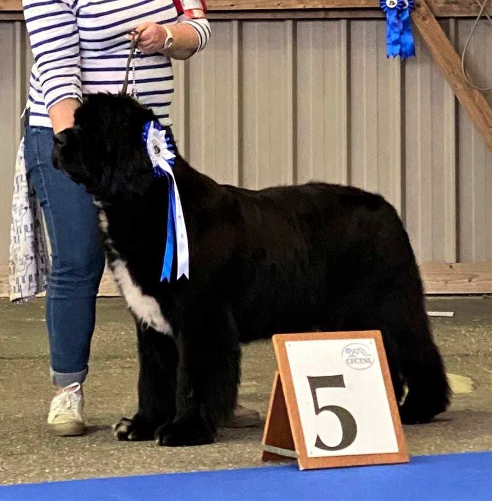 Presqu'ile Des Flots D'Hisse Et Eau