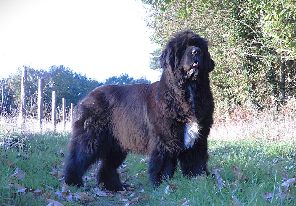 Presqu'ile Des Flots D'Hisse Et Eau