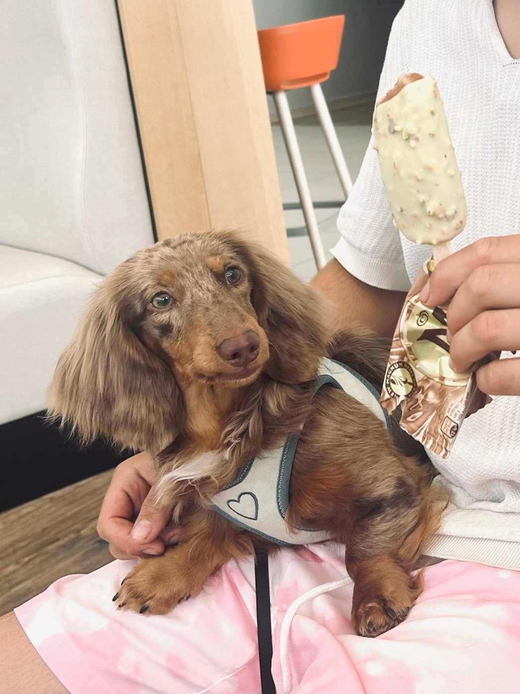 Publication : Dreams Maker's Auteur : Dreams maker's