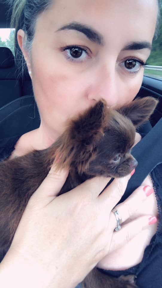 Rubi Du Rêve Des Lutins