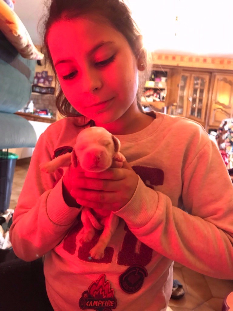 Plume La Princesse Des Merveilles De Gaya