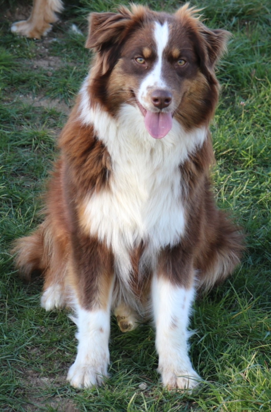 Arizona dream dite yuma du chemin des korrigans