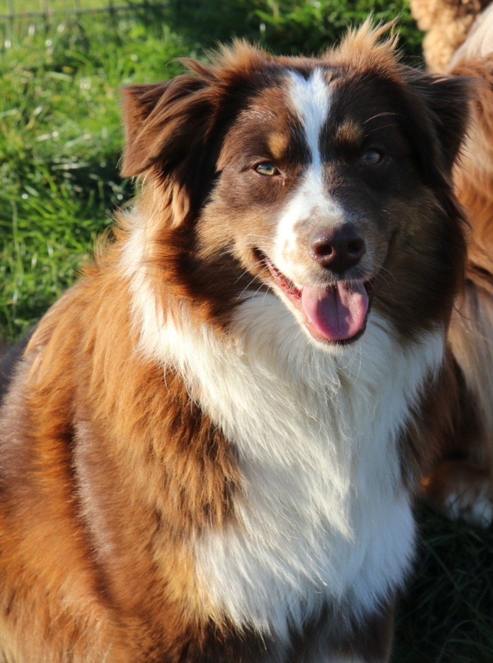 Arizona dream dite yuma du chemin des korrigans