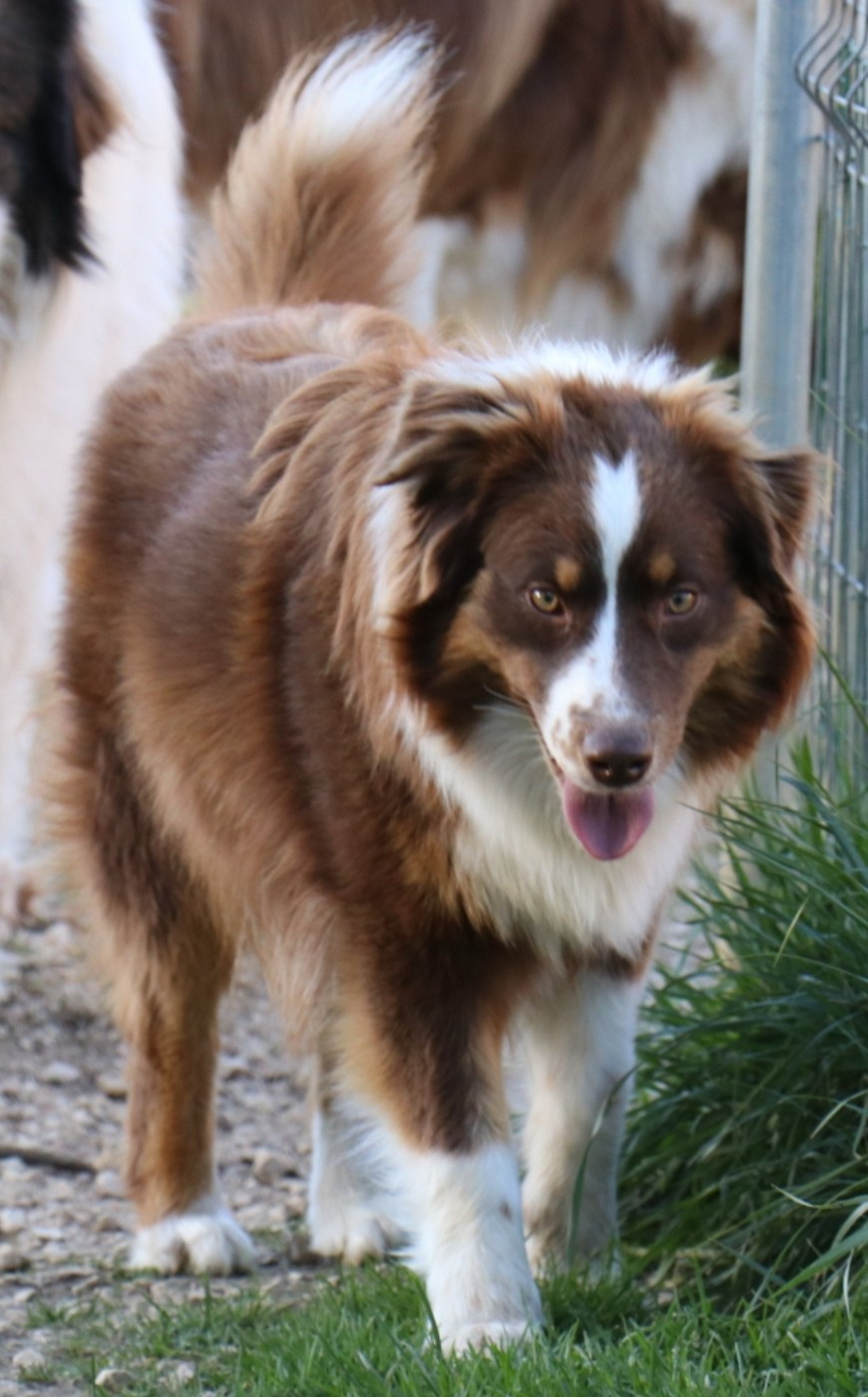 Arizona dream dite yuma du chemin des korrigans