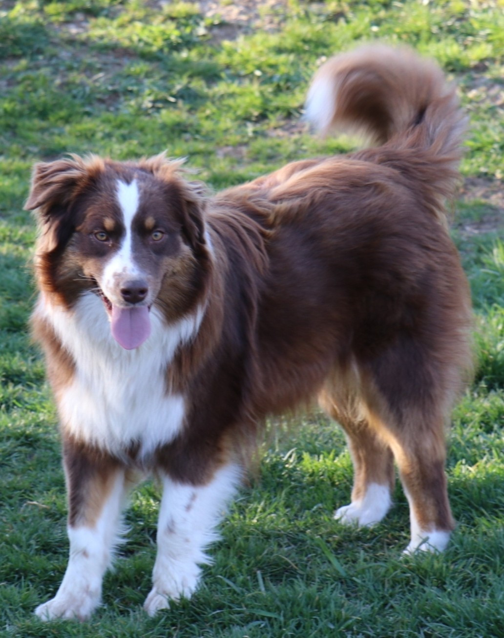 Arizona dream dite yuma du chemin des korrigans