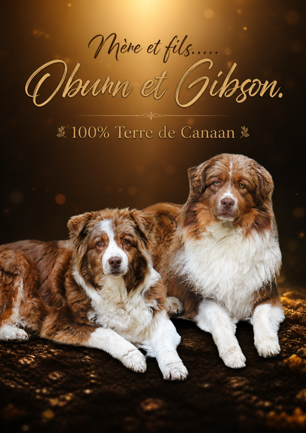 Vvay out easy gibson De La Terre De Canaan