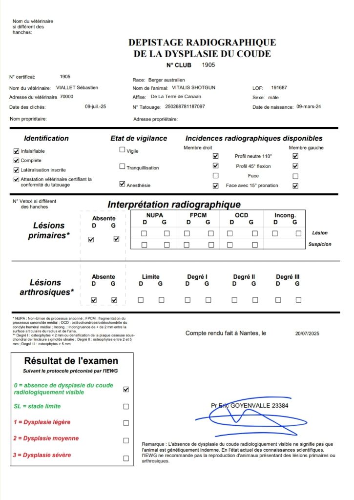 Vitalis shotgun De La Terre De Canaan