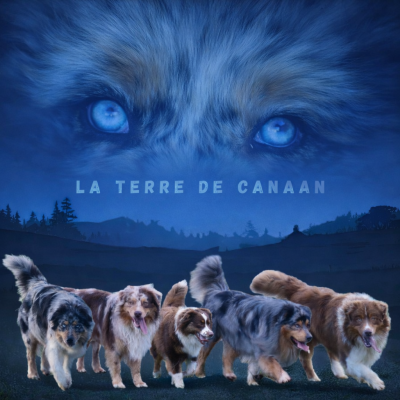 De La Terre De Canaan