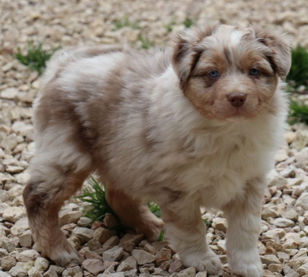 UNIQ STRIKE CONNECTION