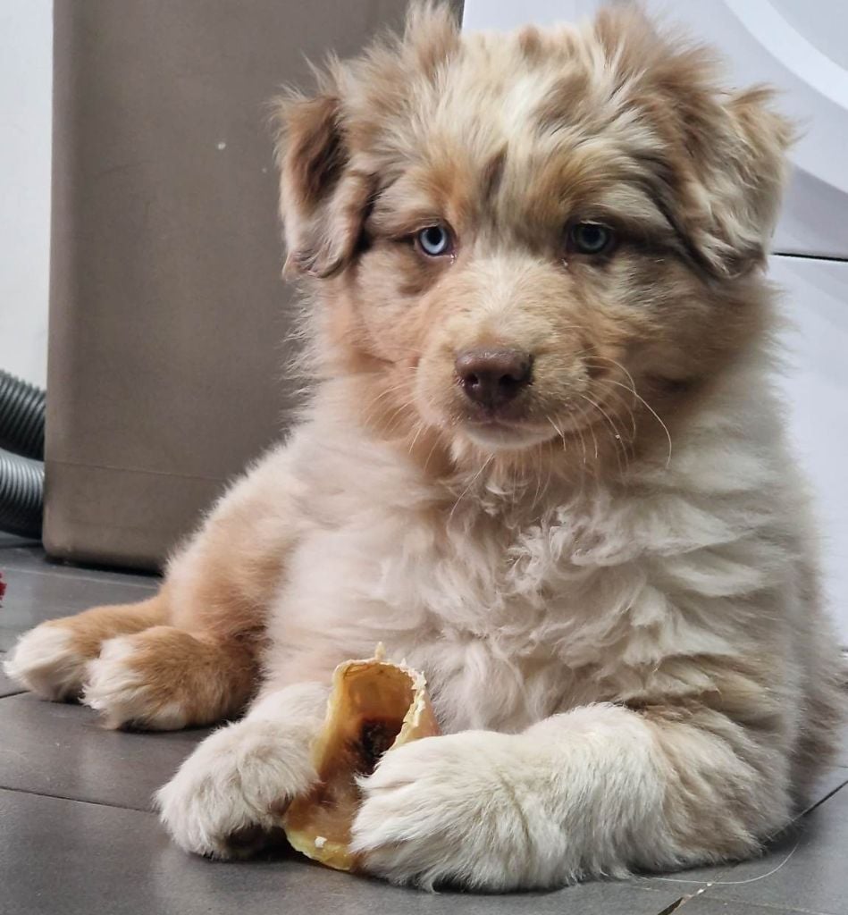 UNIQ STRIKE CONNECTION