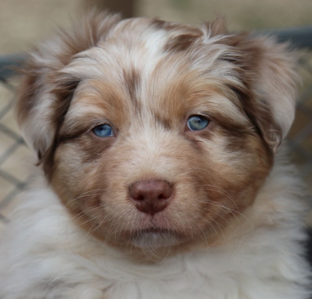 UNIQ STRIKE CONNECTION