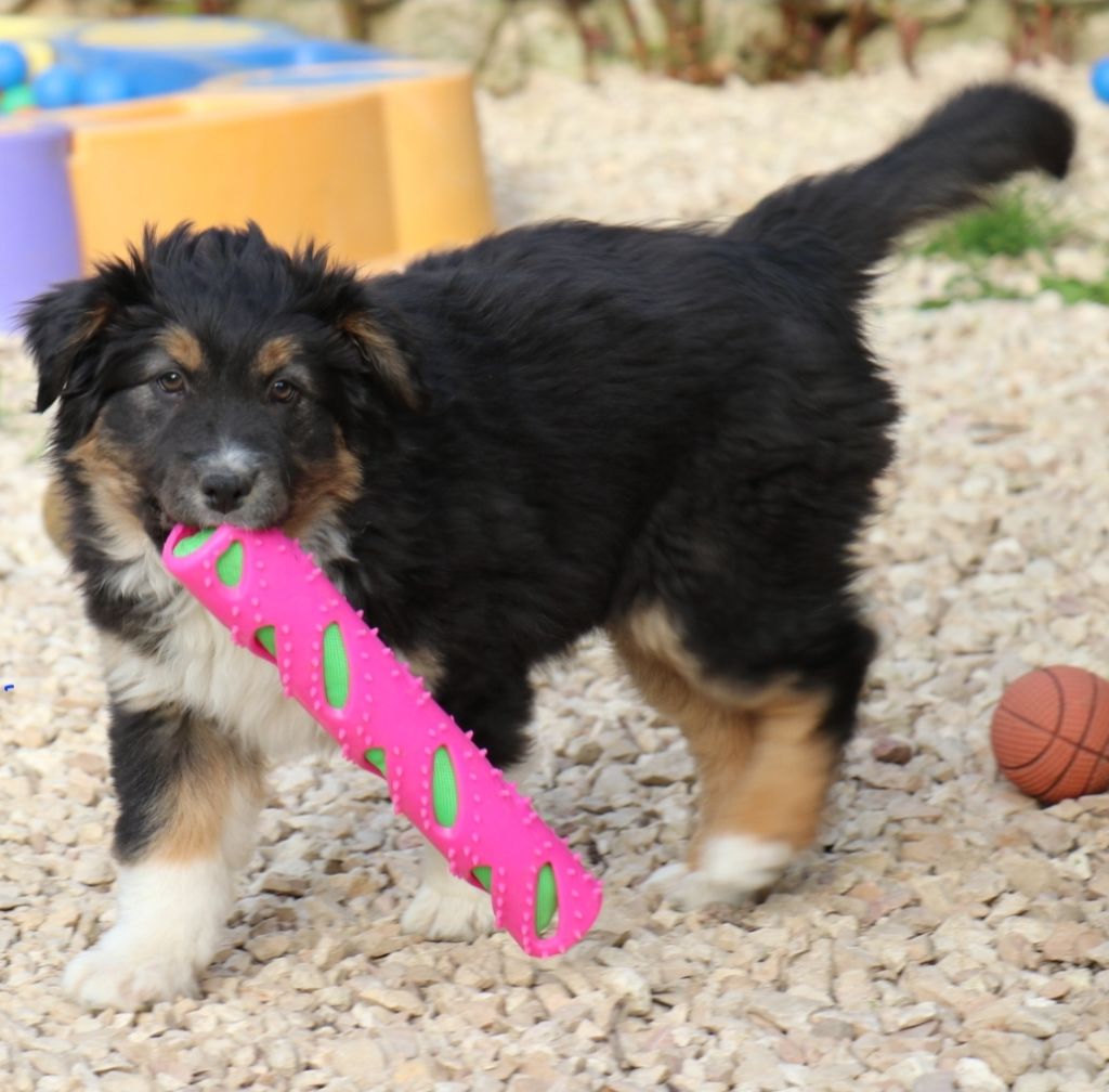 UMBER SPOTLIGHT dite UMI