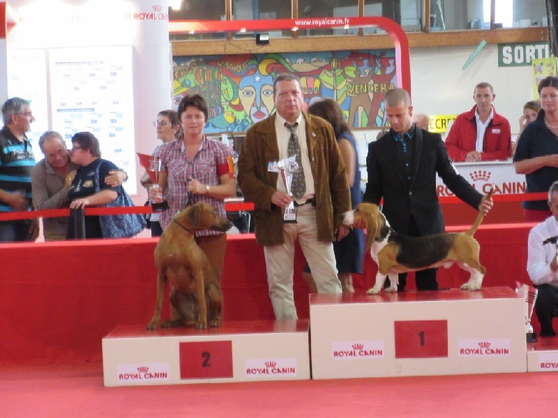 Iena des salines de monts - 1er Excellent - MEILLEURE JEUNE - 2ème du groupe 6