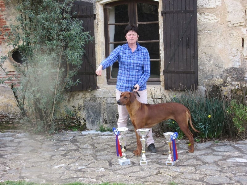 Iena des salines de monts - 1er Excellent - CACS-CACIB - Meilleur de Race