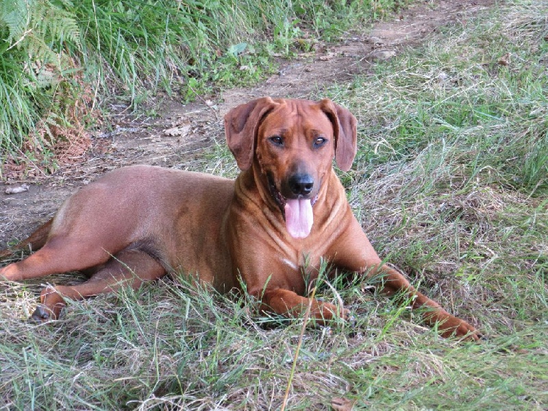 Iena des salines de monts - APTE avec 84 points sur 100