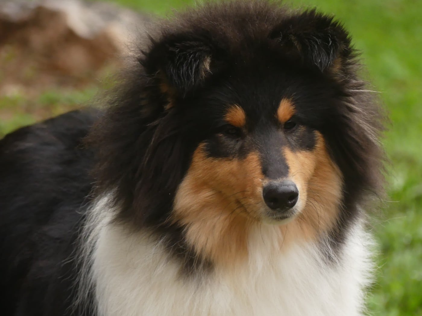 African queen clos de sea-wind