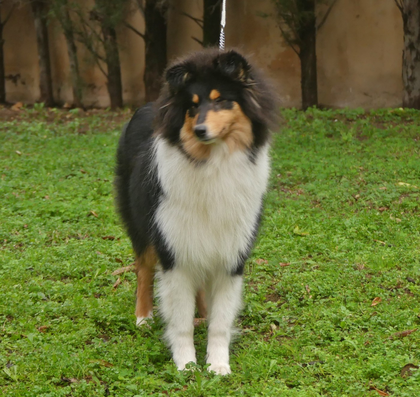 African queen clos de sea-wind