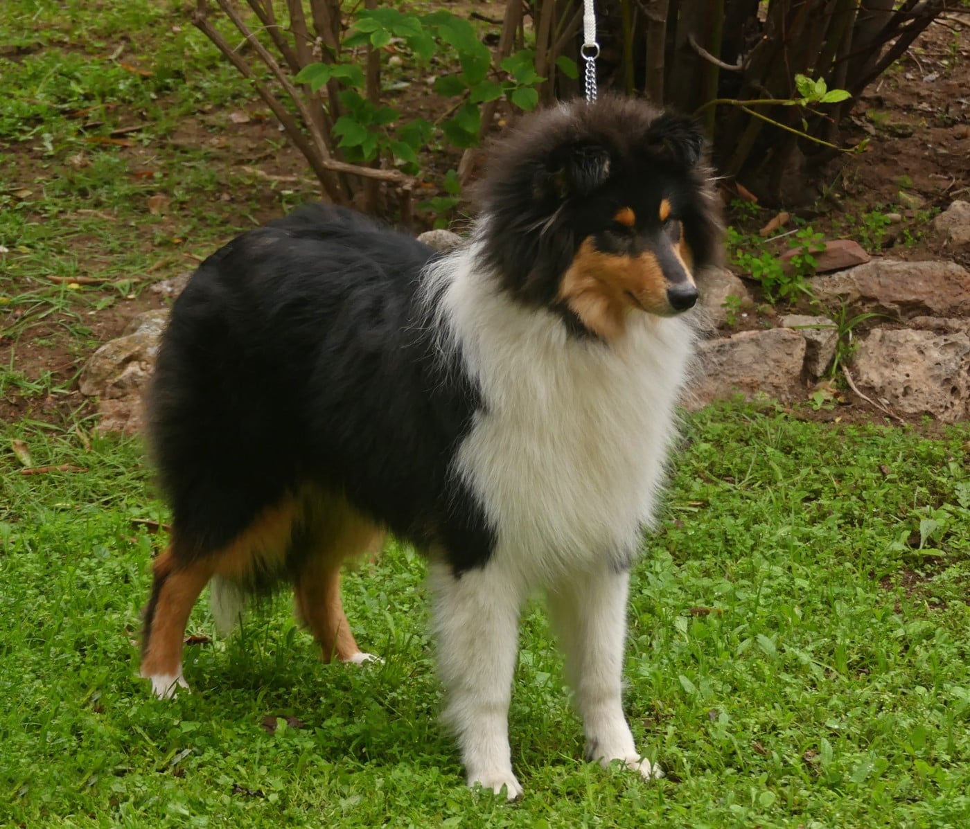 African queen clos de sea-wind