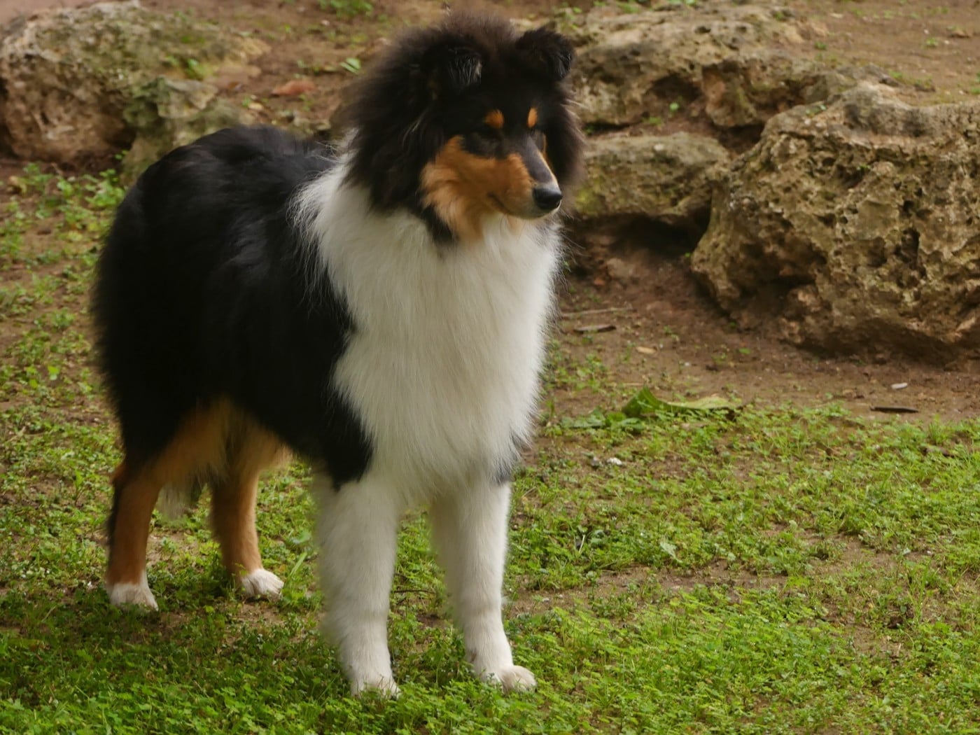 African queen clos de sea-wind