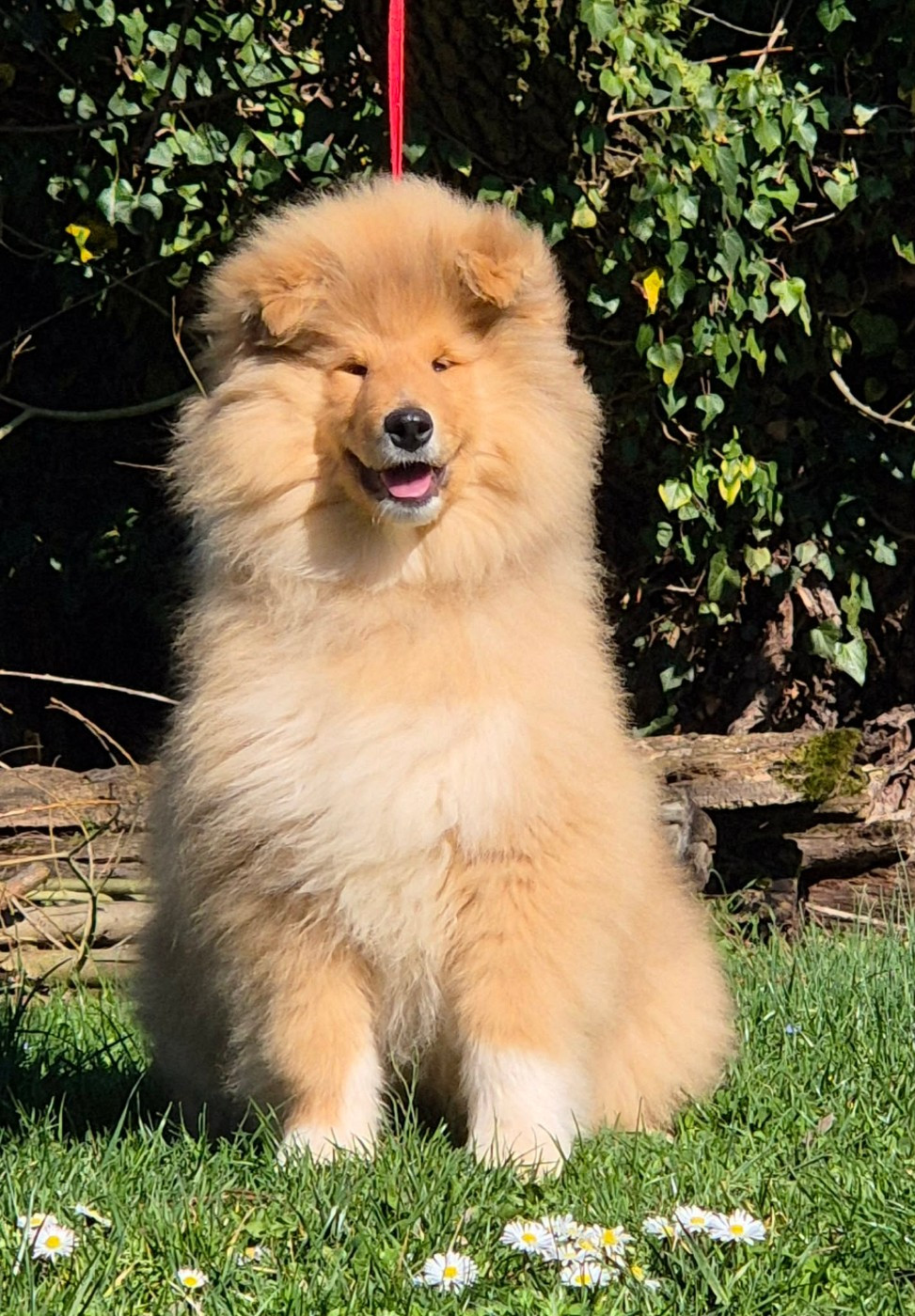 ALL MY MIND Du clos de sea-wind