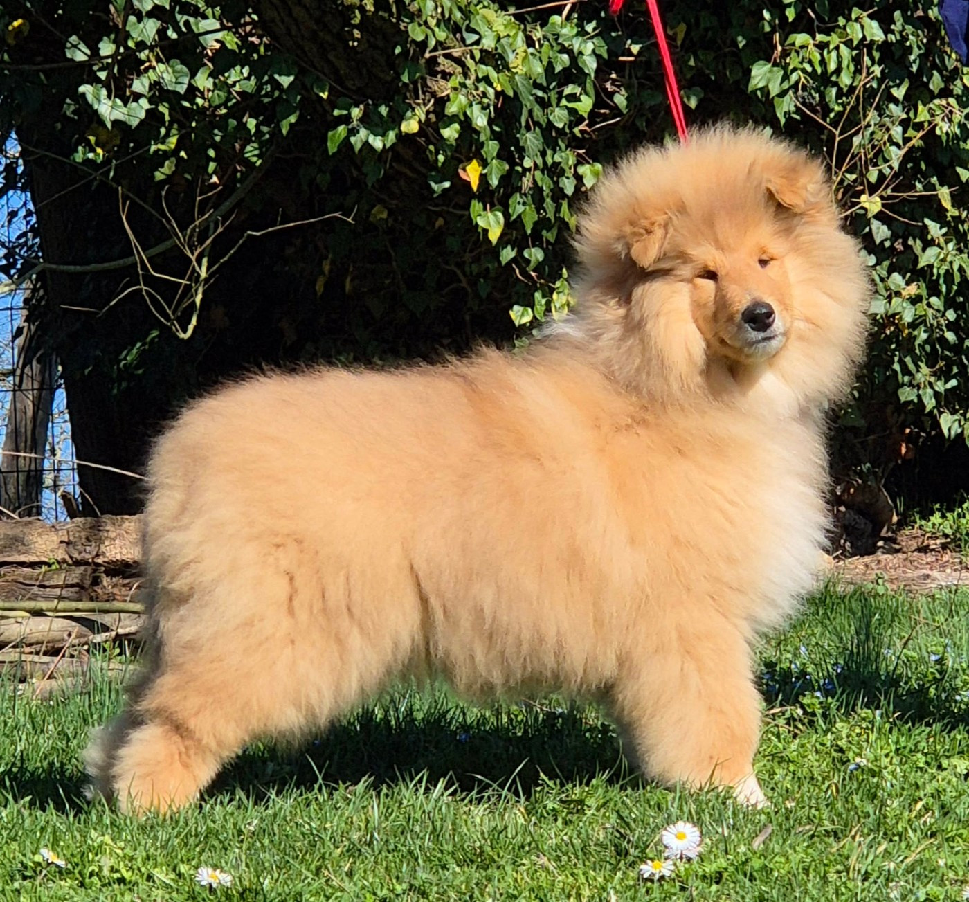 ALL MY MIND Du clos de sea-wind