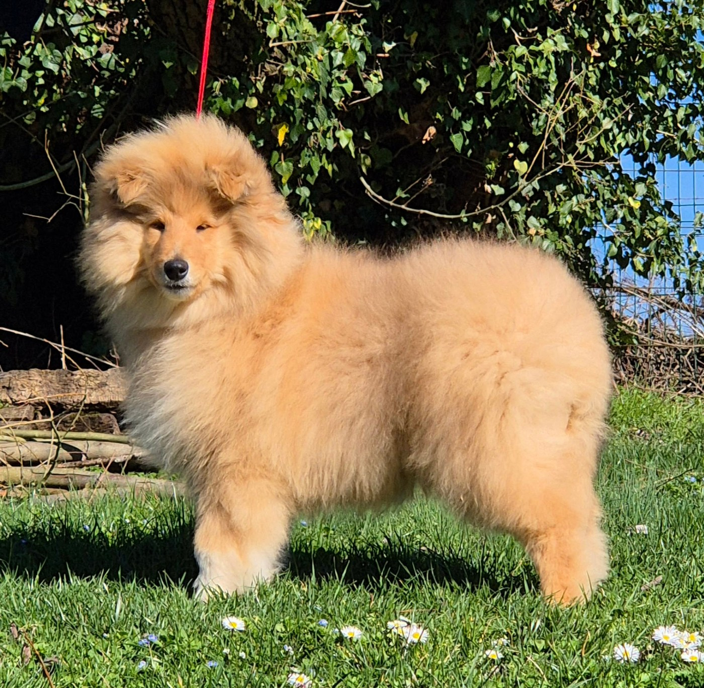 ALL MY MIND Du clos de sea-wind