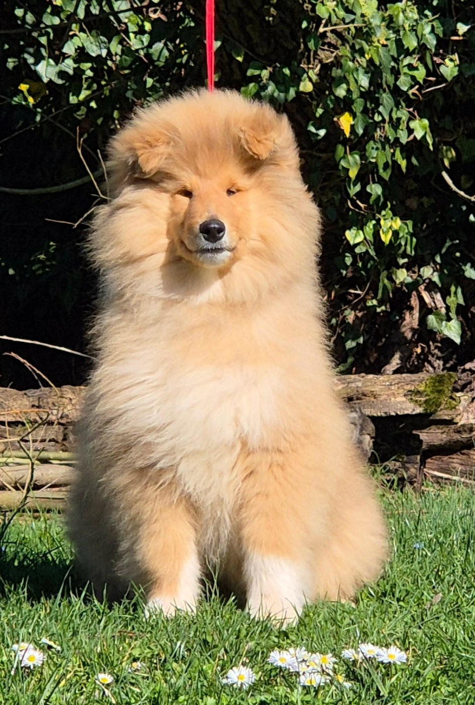 ALL MY MIND Du clos de sea-wind