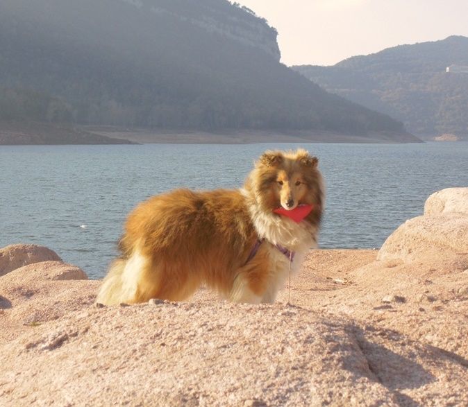 Publication : De La Nit