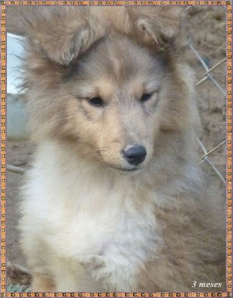 Publication : De La Nit