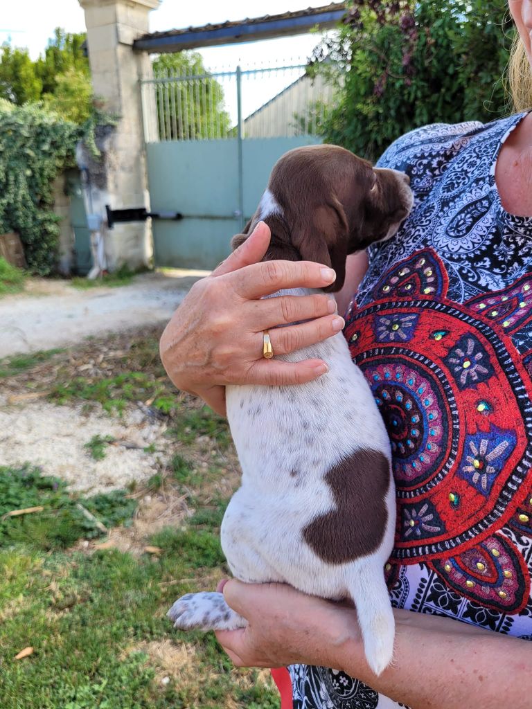 Collier rouge fleuri
