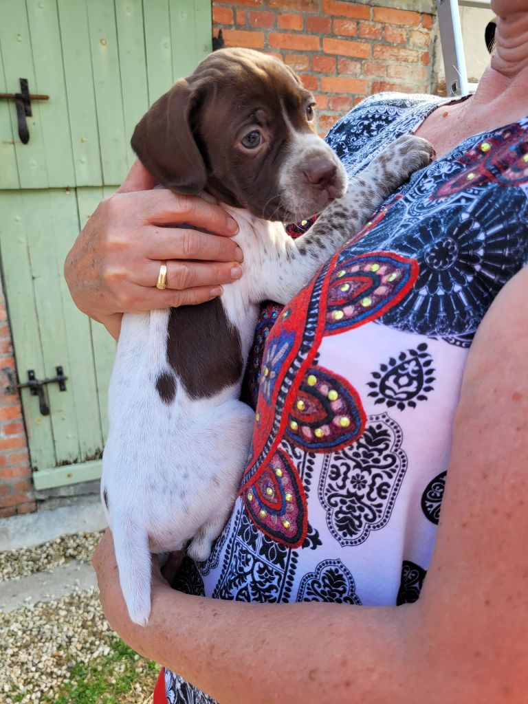collier jaune fleuri