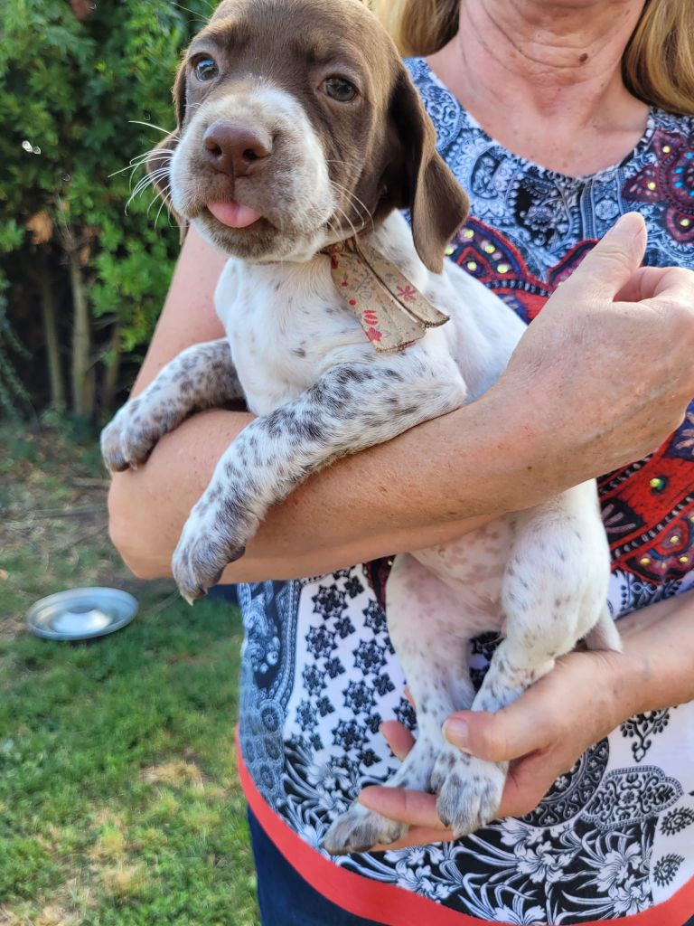 Collier rouge fleuri