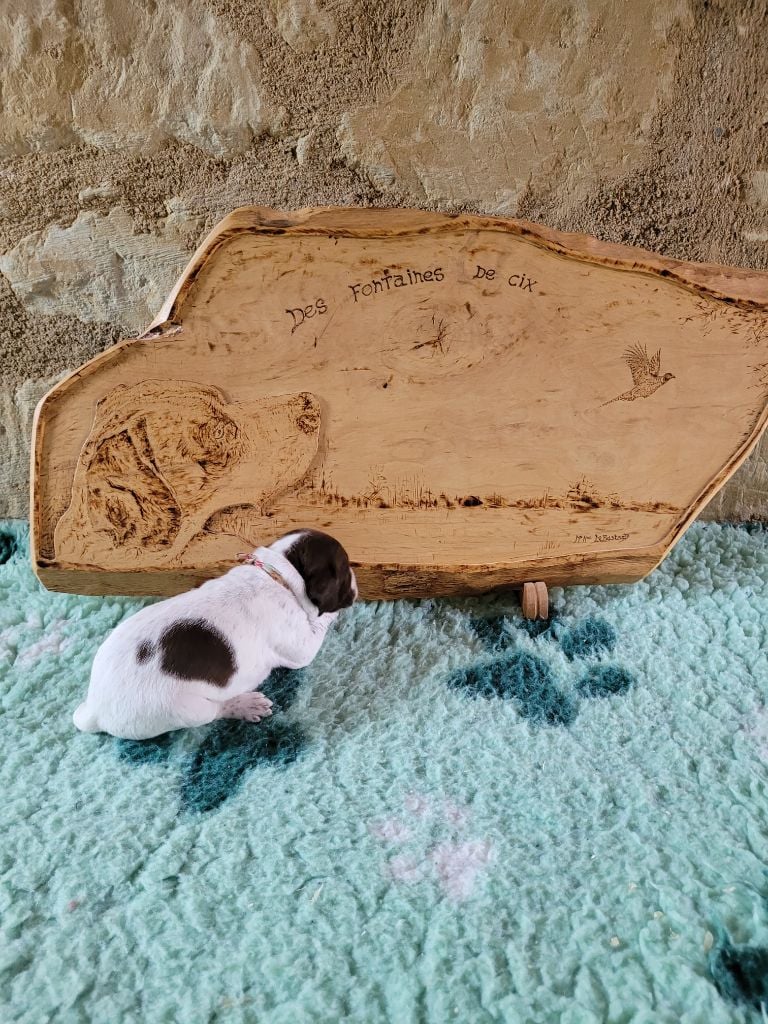 collier jaune fleuri