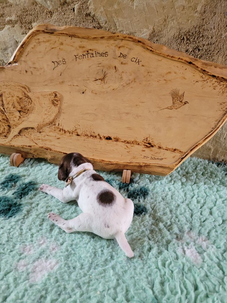 Collier jaune et vert