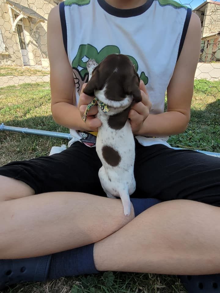 Collier jaune et vert