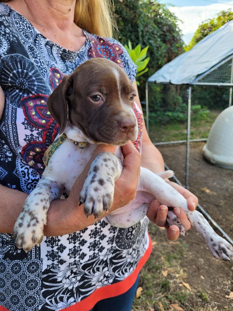 Collier jaune et vert