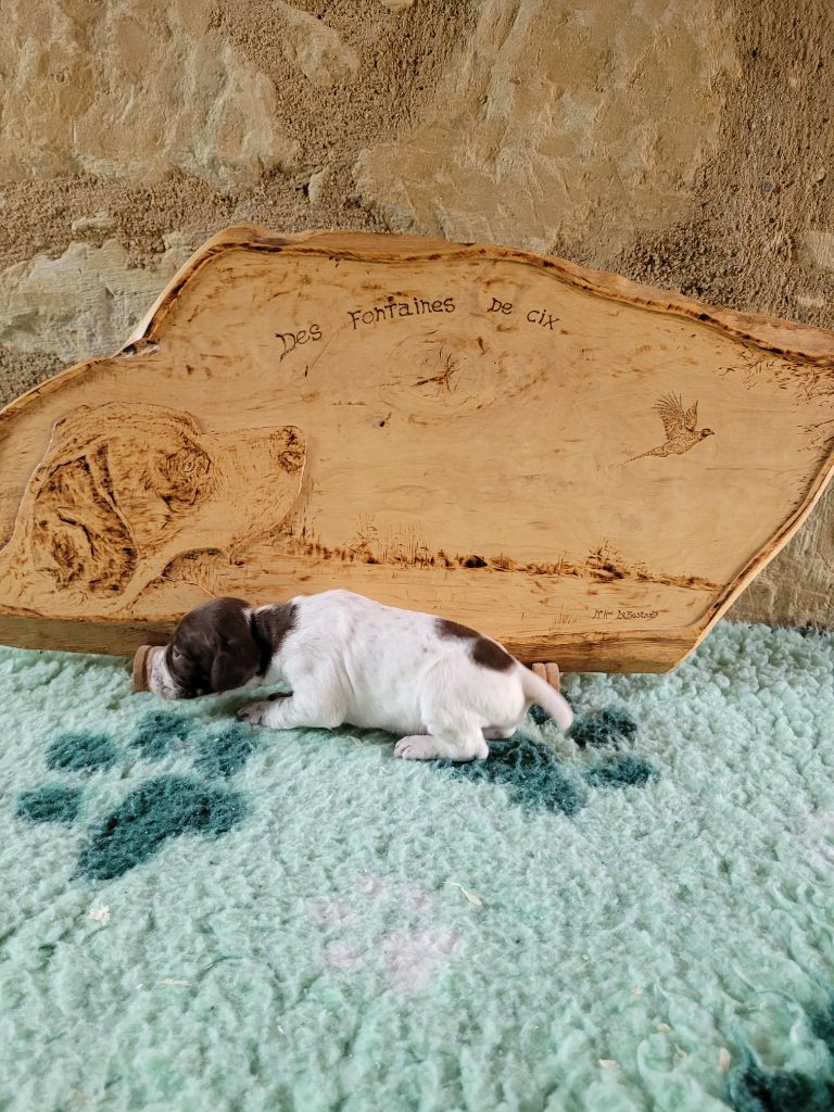 Collier rouge fleuri