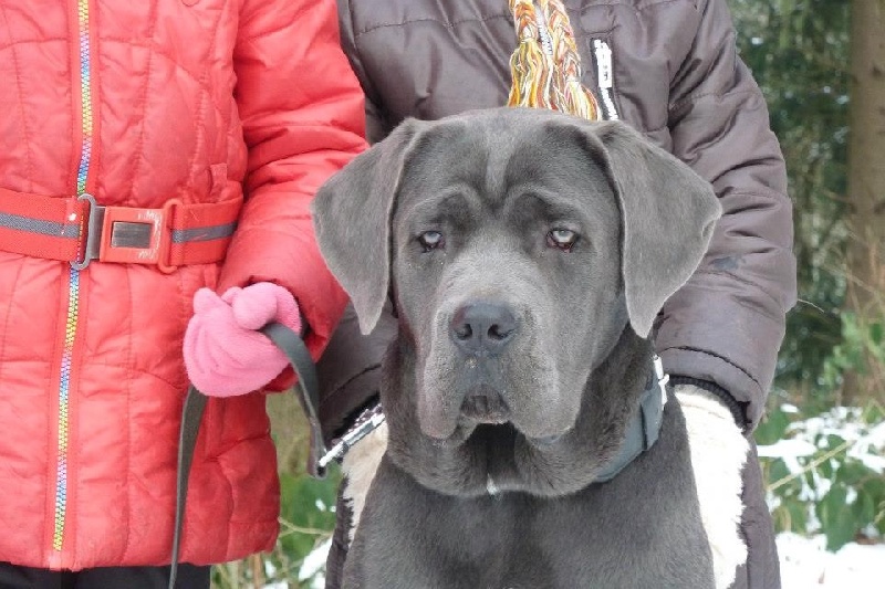 Publication : Basil'Evidenza